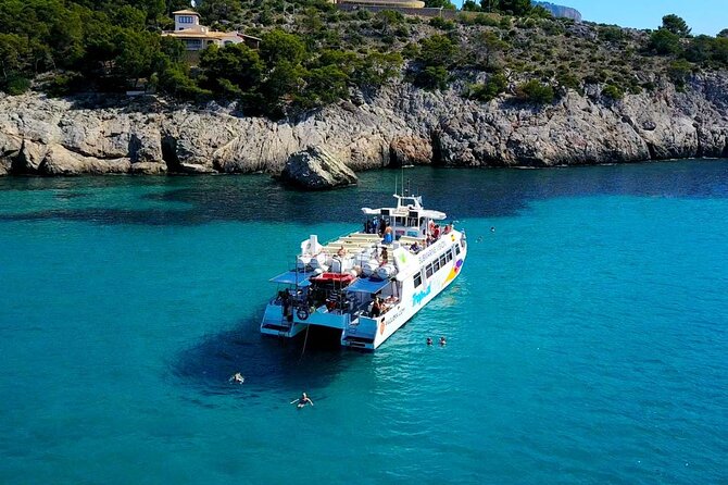 Dolphin Watching in Mallorca (Paguera) - Setting out from Peguera for a dolphin search