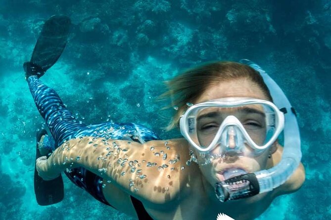 Dolphin Watching in Mallorca (Paguera) - Who will enjoy this Peguera boat trip?