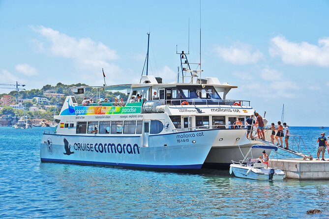 Dolphin Watching in Mallorca (Paguera) - The Camp de Mar swimming stop