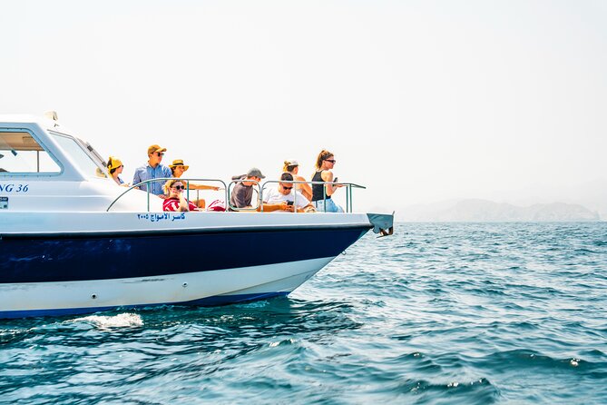 Dolphin Watching in Muscat - What to Know Before You Go