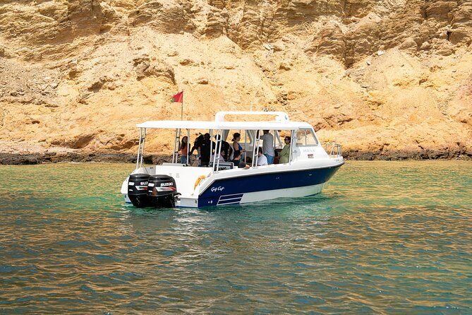 Dolphin Watching in Muscat - How the Two Hours Usually Feel