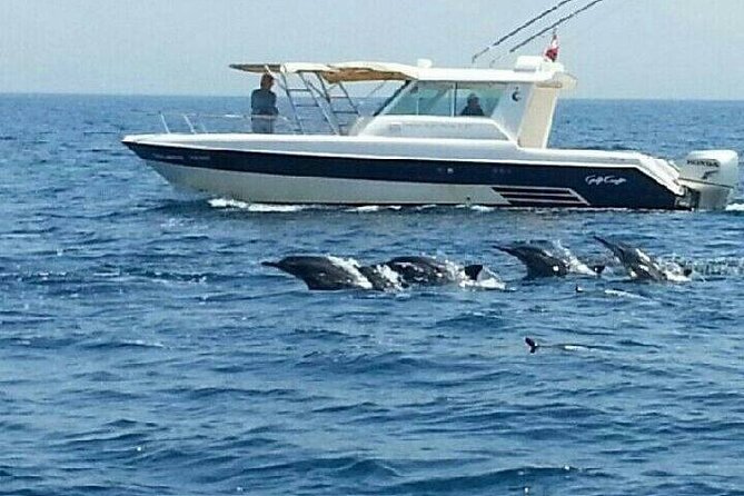 Dolphin Watching in Muscat - Who Will Get the Most From This Trip