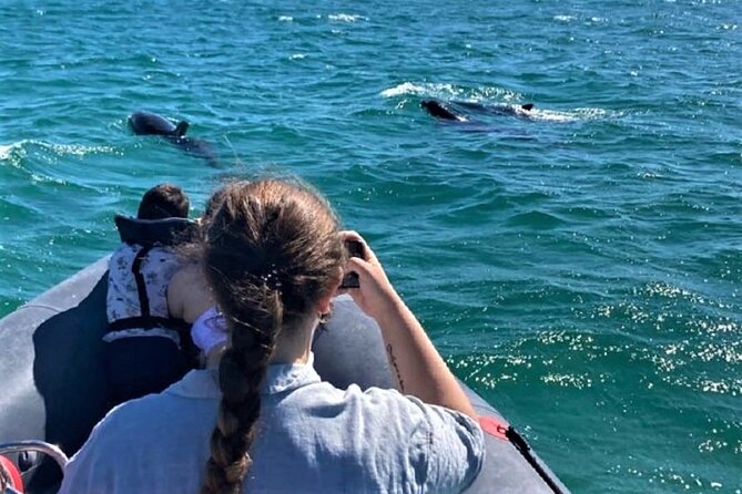 Dolphin watching in Setúbal - Setting out from Setúbal’s waterfront