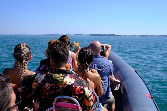 Dolphin watching in Setúbal - Bottlenose dolphins in the Sado River