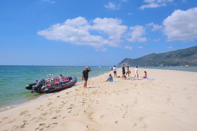 Dolphin watching in Setúbal - Arrábida beaches from the water