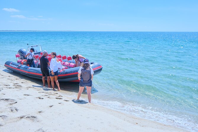 Dolphin watching in Setúbal - The boat, seating, and sun