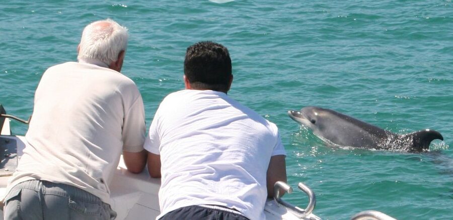 Dolphin Watching in the Wild - Half Day Private Tour - Should you book this dolphin tour?