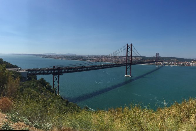 Dolphin Watching in the Wild - Half Day - Setubal and the Sado Estuary