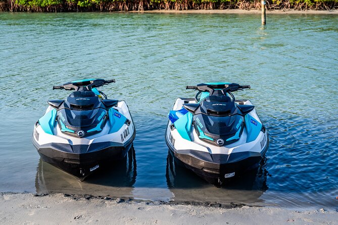 Dolphin Watching Jet Ski Tour - Why the Indian River Lagoon matters