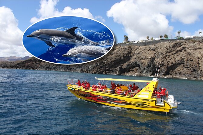 Dolphin Watching Mini Cruise and Snorkeling from Lanzarote - Key Points Before You Book