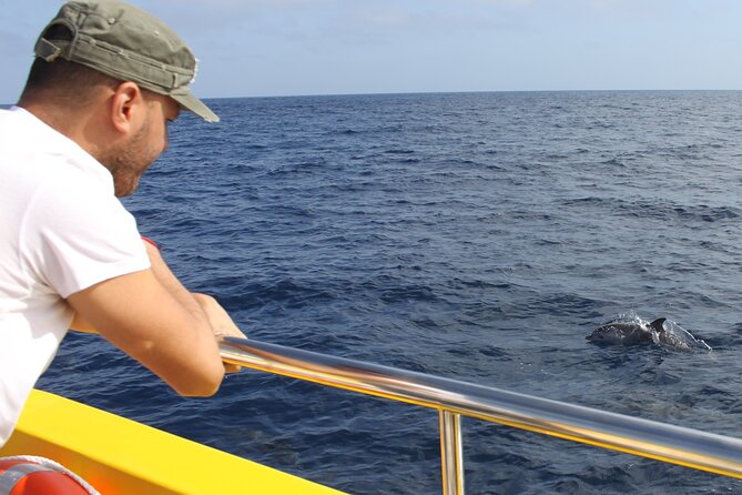 Dolphin Watching Mini Cruise and Snorkeling from Lanzarote - The West Coast Ride: Views First, Wildlife Second