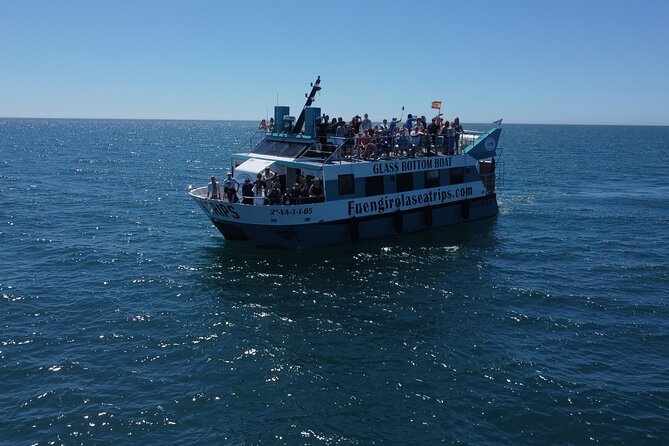 Dolphin watching on a Catamaran in Fuengirola - Key points to know before you book