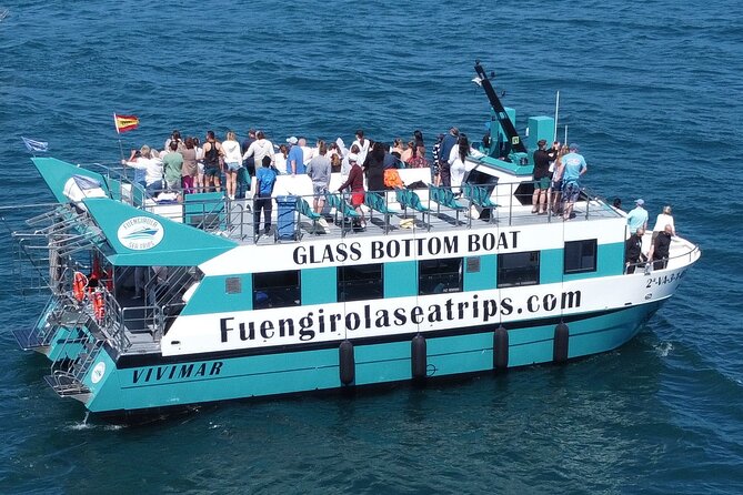 Dolphin watching on a Catamaran in Fuengirola - Leaving from Puerto Deportivo Fuengirola