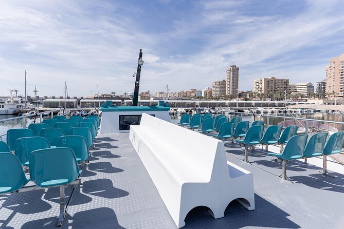 Dolphin watching on a Catamaran in Fuengirola - Watching wild dolphins in open water