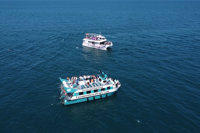 Dolphin watching on a Catamaran in Fuengirola - What $21.60 really gets you
