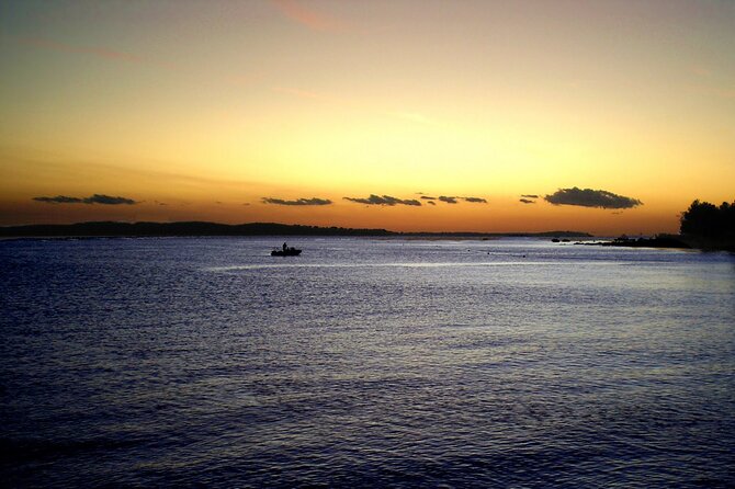 DOLPHIN WATCHING | Pula Boat - What a dolphin sighting may really look like