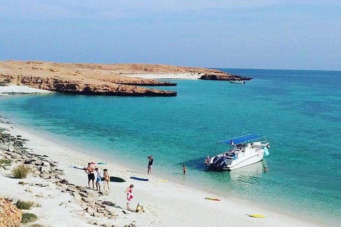 Dolphin Watching & Snorkeling - Key points to know before you book
