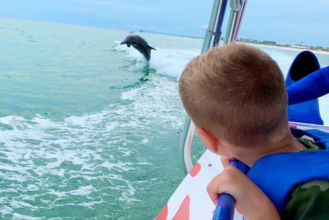 Dolphin-Watching Speedboat Cruise in Destin Harbor - Quick take on the Screaming Eagle cruise