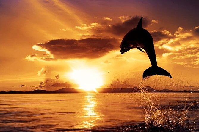 Dolphin Watching & Sunset Boat Tour With Dinner and Drinks - Brijuni begins with Peneda lighthouse