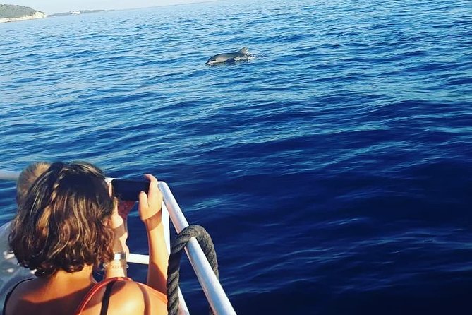 Dolphin Watching & Sunset Boat Tour With Dinner and Drinks - The dolphin search in Brijuni waters