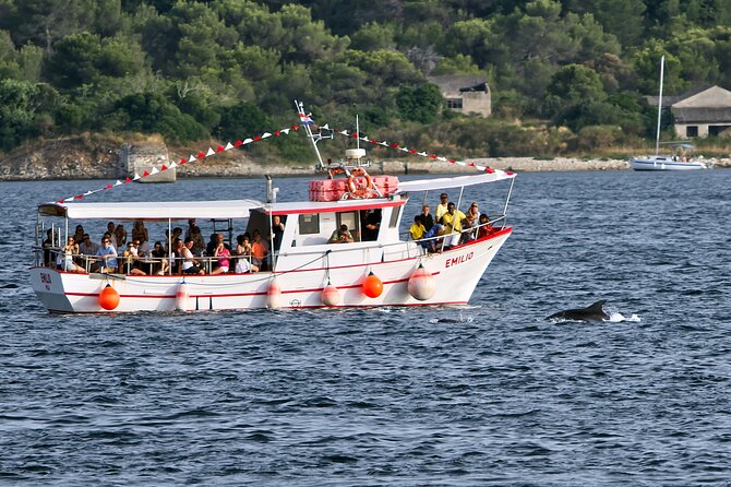 Dolphin Watching Sunset Boat Trip in Pula with Dinner - Brijuni National Park at sunset