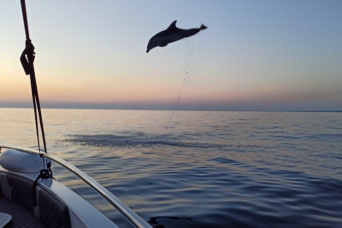Dolphin Watching Sunset Speedboat Tour with Drinks in Rovinj - The return to Rovinj at sunset