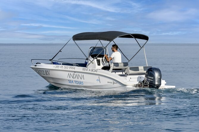 Dolphin Watching Sunset Speedboat Tour with Drinks in Rovinj - Is $75.62 a fair price?