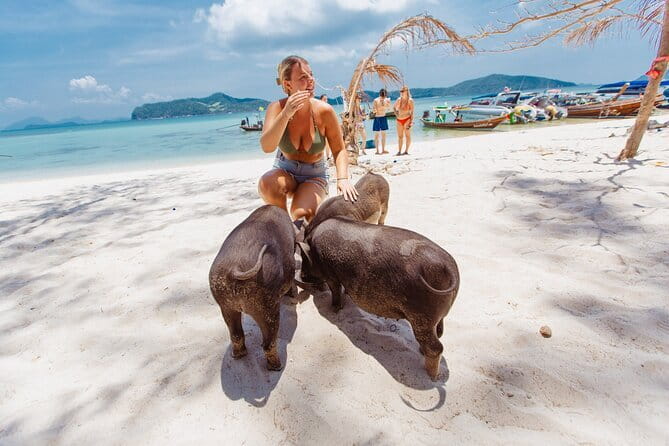 Dolphin Watching Tan and Pig Island Tour from Koh Samui - New Beach, seasonal Nang Kam, and lunch