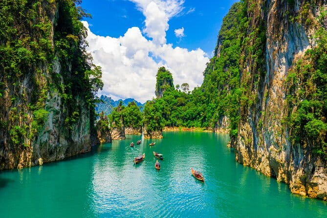 Dolphin Watching Tan and Pig Island Tour from Koh Samui - What the $67.38 price includes