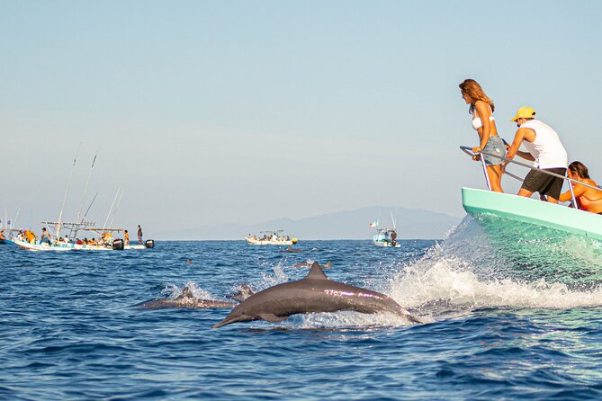 Dolphin Watching Tour - What makes this Muscat boat trip worth considering