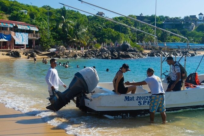 Dolphin Watching Tour - The Guides Make a Big Difference
