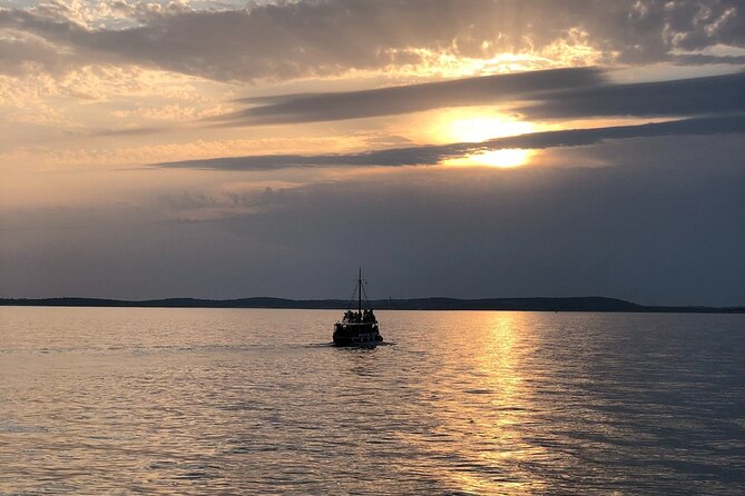 Dolphin Watching Tour – 85% Chance – Drinks & Dinner Included - Is $54.42 good value?