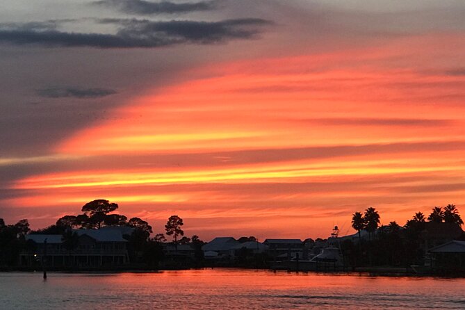 Dolphin Watching Tour in Orange Beach - Families, Tweens, and Group Celebrations