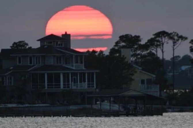 Dolphin Watching Tour in Orange Beach - Safety, Boarding, and Accessibility