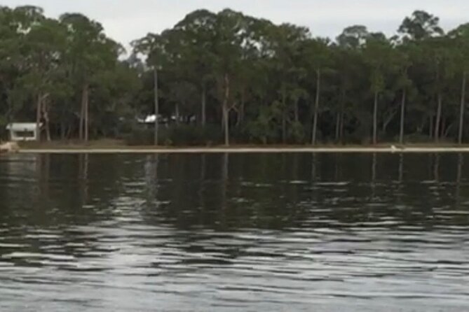 Dolphin Watching Tour in Orange Beach - Booking and Cancellation Details