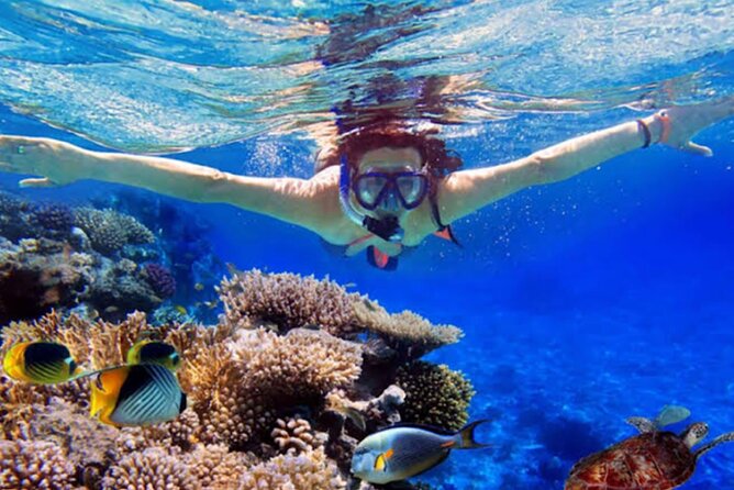 Dolphin Watching Tour, Swimming with Dolphins and Snorkeling - The real starting point: Ubud before dawn