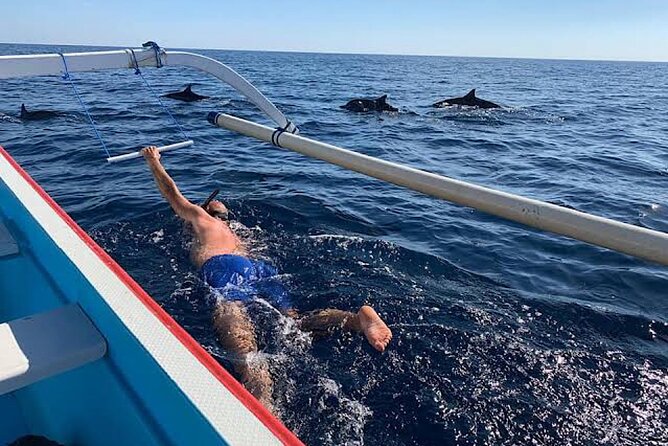 Dolphin Watching Tour, Swimming with Dolphins and Snorkeling - Who will enjoy this morning most