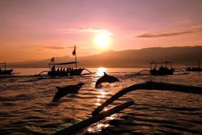Dolphin Watching Tour, Swimming with Dolphins and Snorkeling