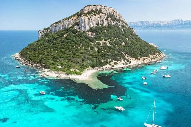 Dolphin Watching Tour with Snorkeling from Olbia - The guides make the small boat feel personal