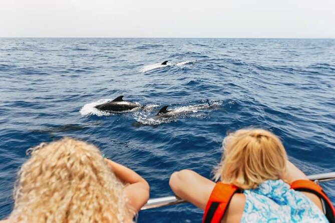 Dolphin Watching Tour with Snorkeling from Olbia - Timing, weather, and cancellation details