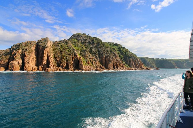 Dolphin & Whale Cruise - Who will enjoy this cruise most