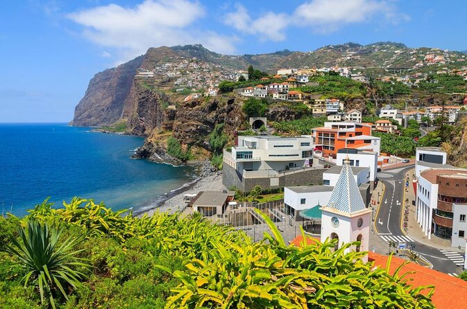 Dolphin - Whale - Turtle - Bird Watching - Five things to know before you book
