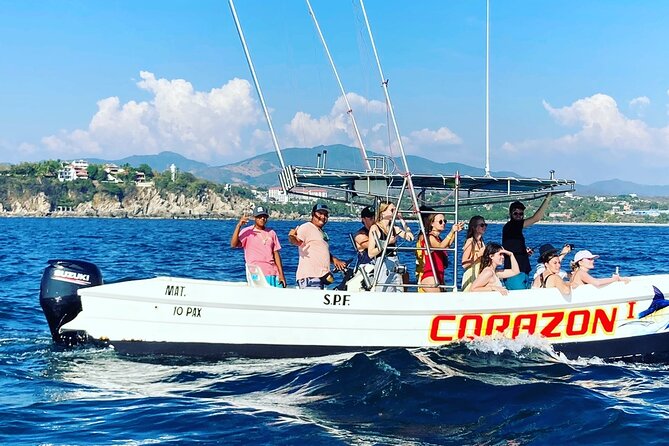 Dolphin & Whale Watching - The strongest reasons to choose this tour