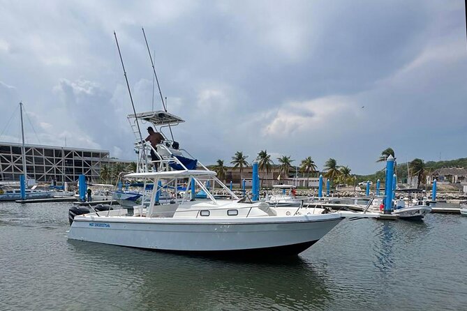 Dolphin & Whale Watching with Marine Biologists - Setting out from Chahué Marina at 8:00 am