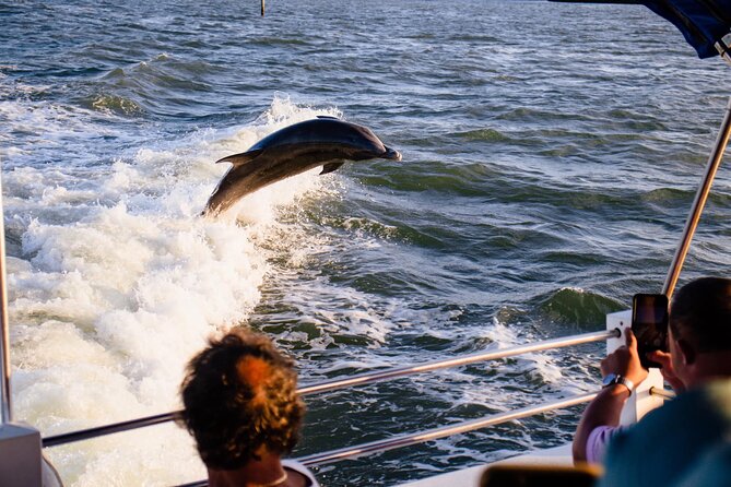 Dolphin Wildlife Cruise Fort Myers Beach - Setting out from 4765 Estero Boulevard