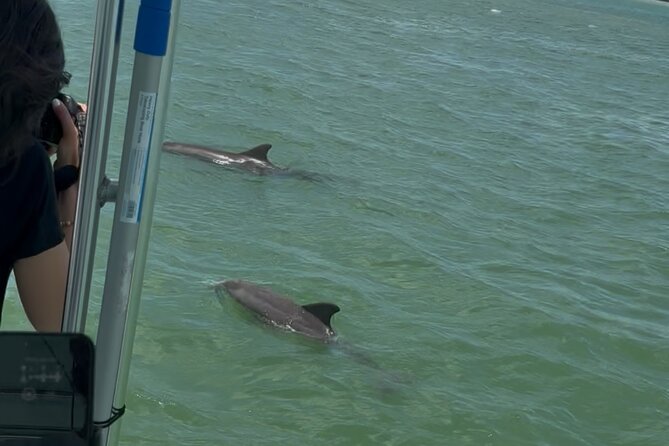 Dolphin Wildlife Cruise Fort Myers Beach - Comfort, timing, and the $63.90 price