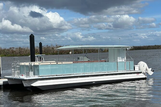 Dolphin Wildlife Cruise Fort Myers Beach - Should you book the Fort Myers Beach dolphin cruise?