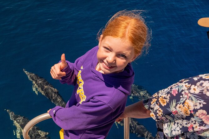 Dolphin & Wildlife Encounters - The Tauranga coastline and Mount Maunganui