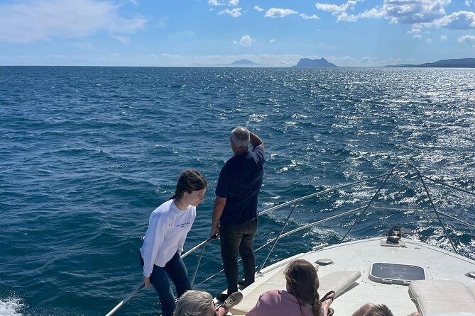 Dolphins and Sea Boat Adventure in Manilva Coast - How the small group changes the outing