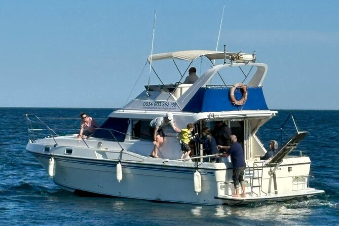 Dolphins and Sea Boat Adventure in Manilva Coast - Who will enjoy this most?